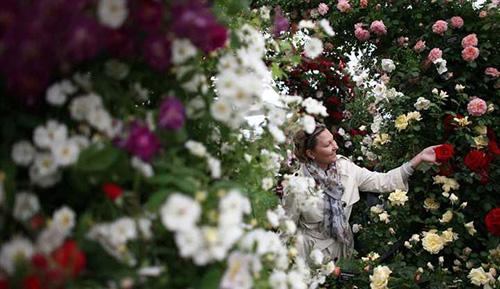 亚洲精品白浆高清久久久久久