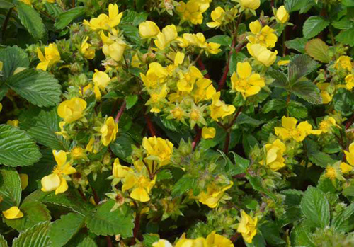 亚洲精品白浆高清久久久久久