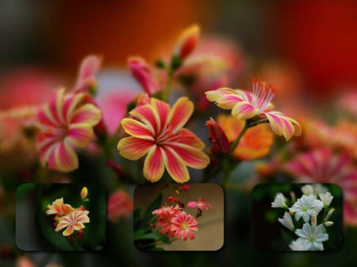 亚洲精品白浆高清久久久久久