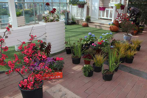 亚洲精品白浆高清久久久久久