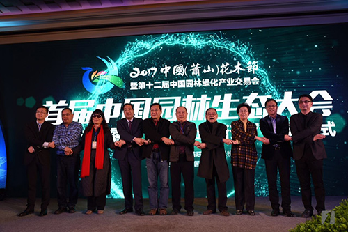 亚洲精品白浆高清久久久久久