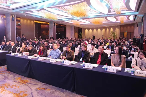 亚洲精品白浆高清久久久久久