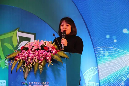 亚洲精品白浆高清久久久久久