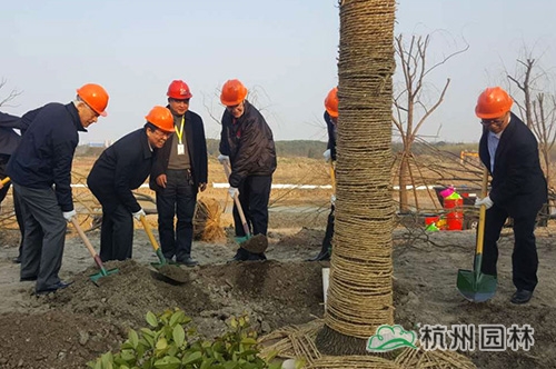 亚洲精品白浆高清久久久久久