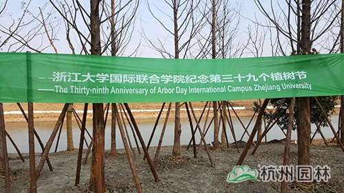 亚洲精品白浆高清久久久久久
