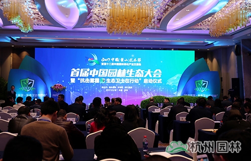 亚洲精品白浆高清久久久久久