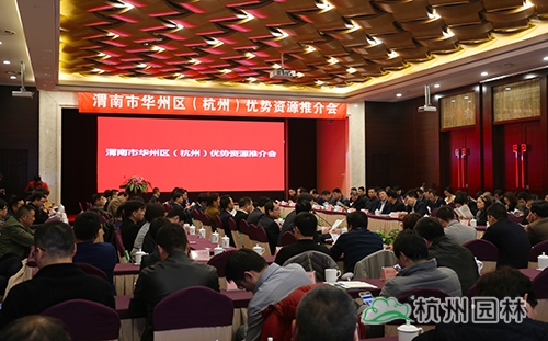 亚洲精品白浆高清久久久久久