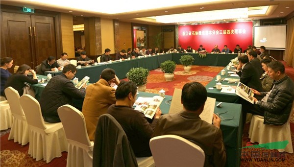 亚洲精品白浆高清久久久久久