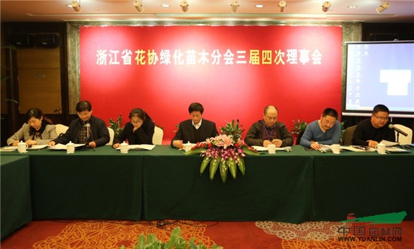 亚洲精品白浆高清久久久久久