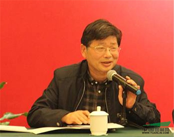 亚洲精品白浆高清久久久久久