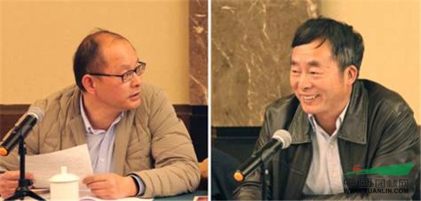 亚洲精品白浆高清久久久久久