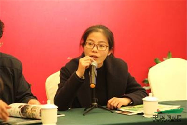 亚洲精品白浆高清久久久久久