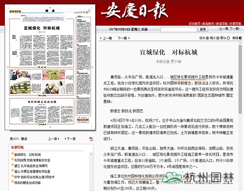 亚洲精品白浆高清久久久久久