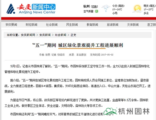 亚洲精品白浆高清久久久久久