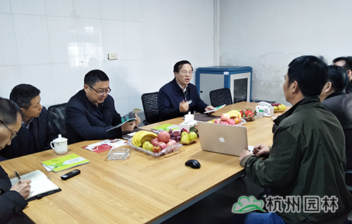 亚洲精品白浆高清久久久久久