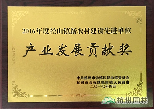 亚洲精品白浆高清久久久久久