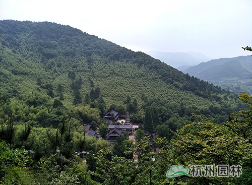 亚洲精品白浆高清久久久久久