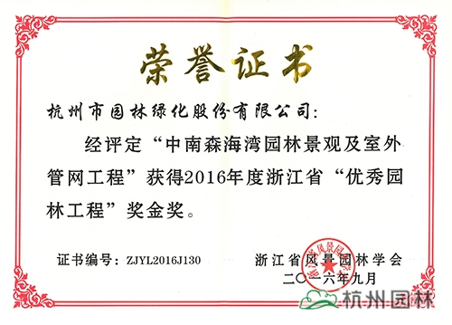 亚洲精品白浆高清久久久久久