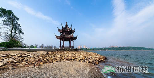 亚洲精品白浆高清久久久久久