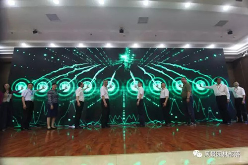 亚洲精品白浆高清久久久久久