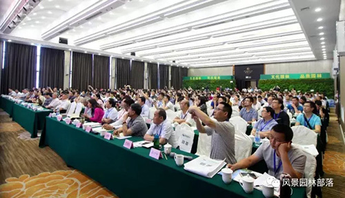 亚洲精品白浆高清久久久久久