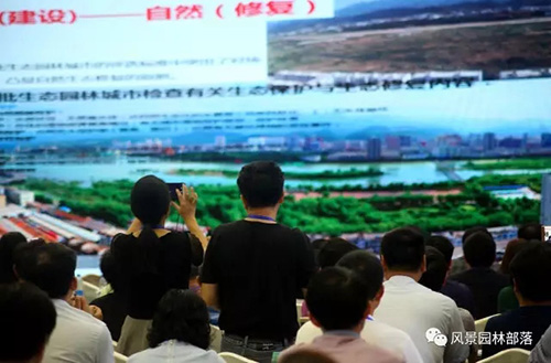 亚洲精品白浆高清久久久久久