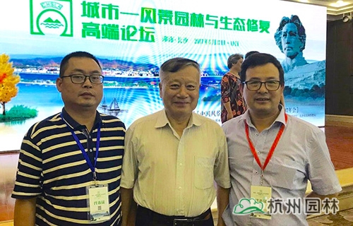 亚洲精品白浆高清久久久久久