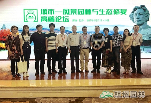 亚洲精品白浆高清久久久久久