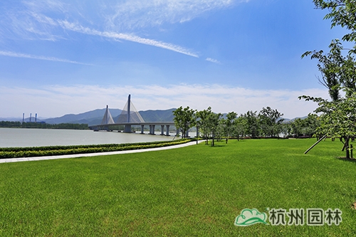 亚洲精品白浆高清久久久久久
