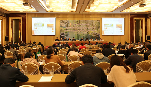 亚洲精品白浆高清久久久久久