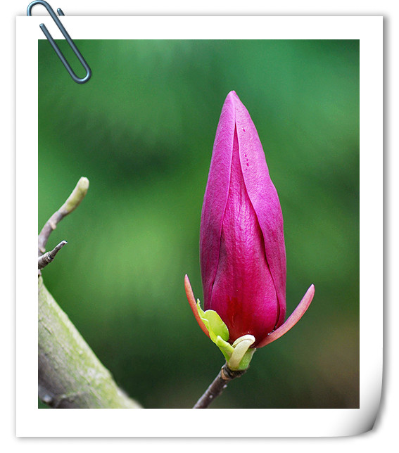 亚洲精品白浆高清久久久久久