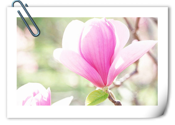 亚洲精品白浆高清久久久久久