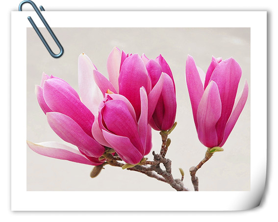 亚洲精品白浆高清久久久久久