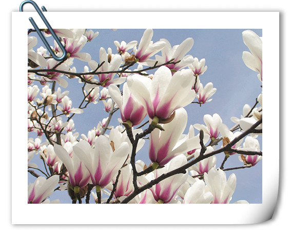 亚洲精品白浆高清久久久久久