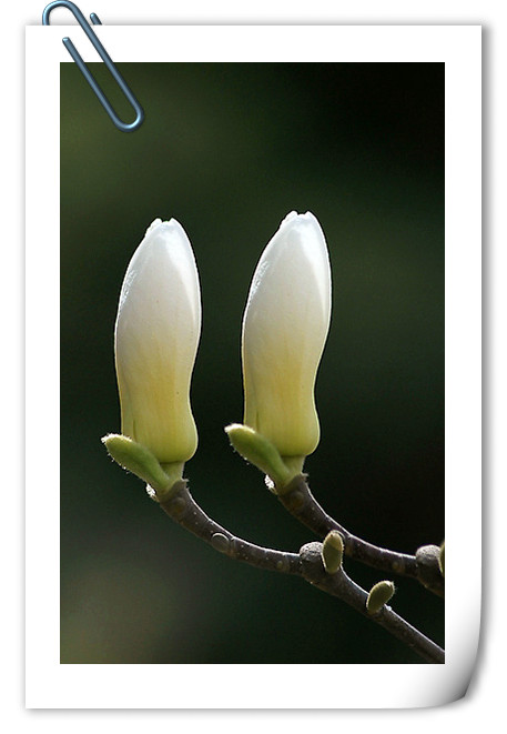 亚洲精品白浆高清久久久久久