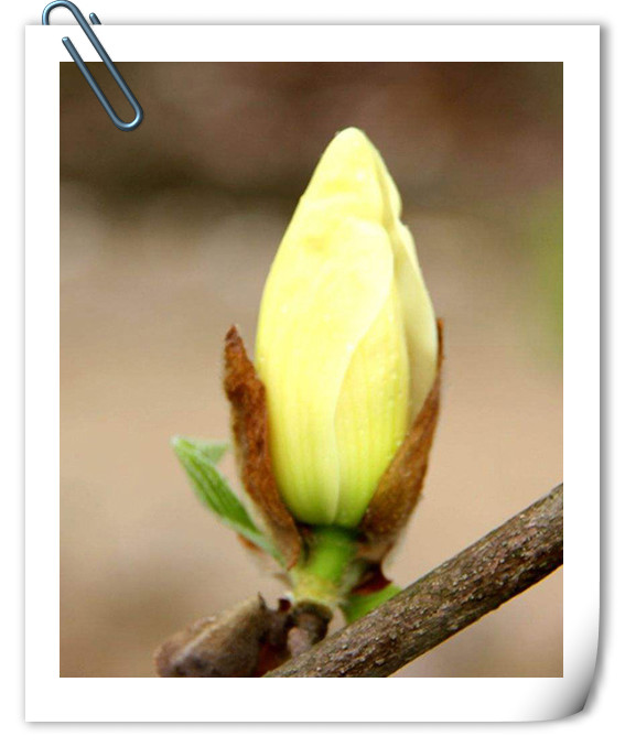 亚洲精品白浆高清久久久久久