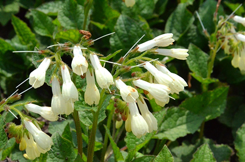 亚洲精品白浆高清久久久久久