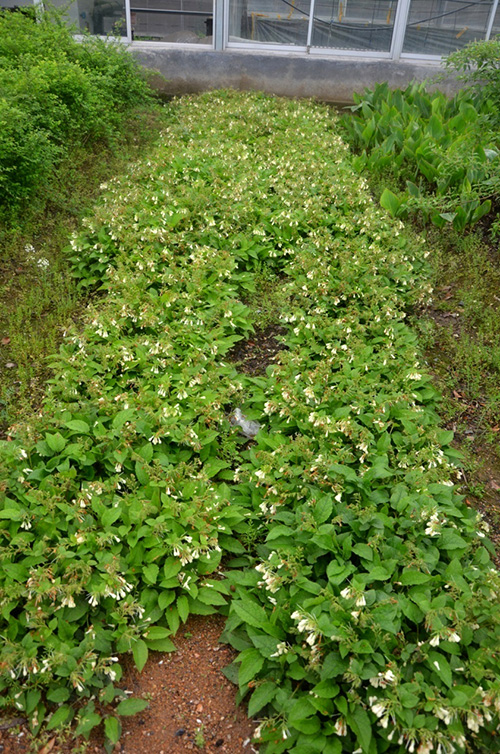 亚洲精品白浆高清久久久久久