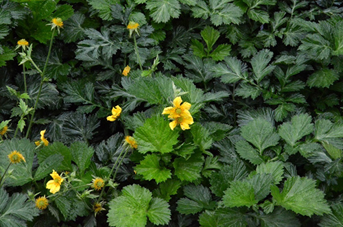 亚洲精品白浆高清久久久久久