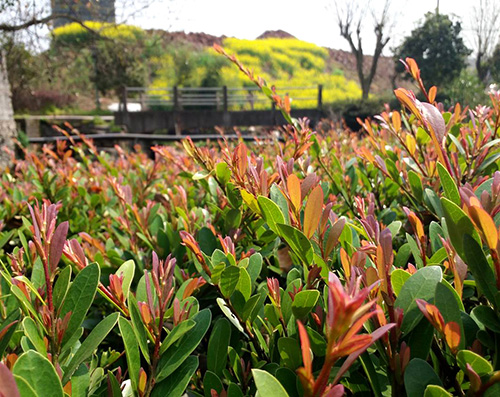 亚洲精品白浆高清久久久久久