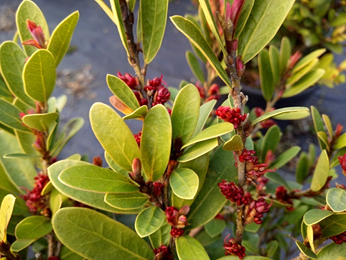 亚洲精品白浆高清久久久久久