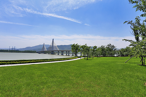 亚洲精品白浆高清久久久久久