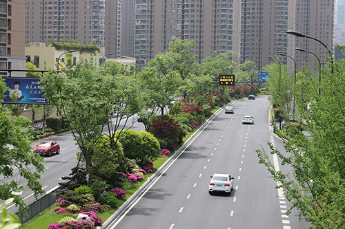 亚洲精品白浆高清久久久久久