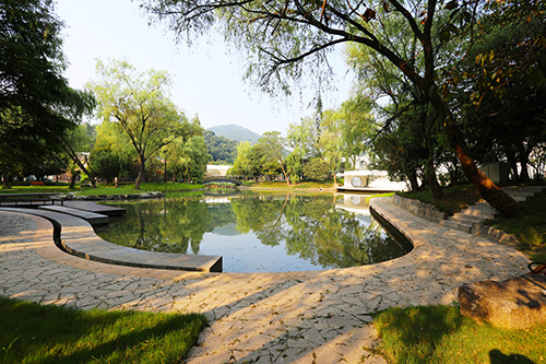 亚洲精品白浆高清久久久久久