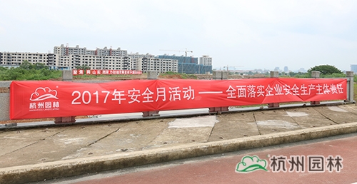 亚洲精品白浆高清久久久久久