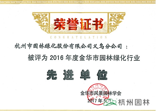 亚洲精品白浆高清久久久久久