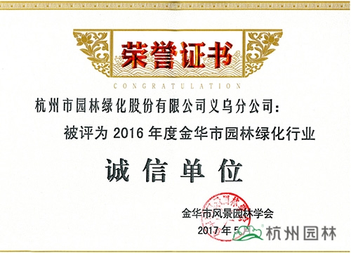 亚洲精品白浆高清久久久久久