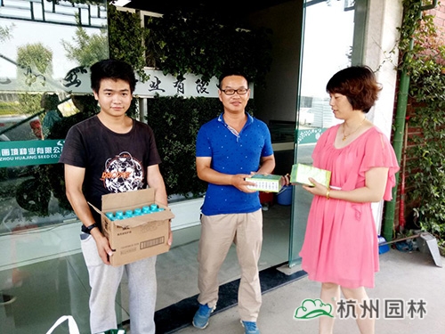 亚洲精品白浆高清久久久久久