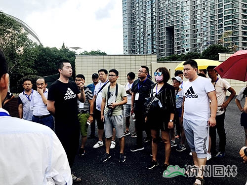 亚洲精品白浆高清久久久久久