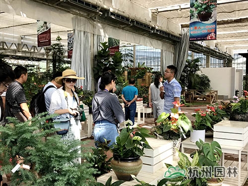 亚洲精品白浆高清久久久久久